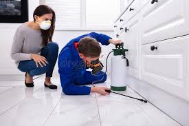 Best Real Estate Pest Inspections  in Woodburn, IN